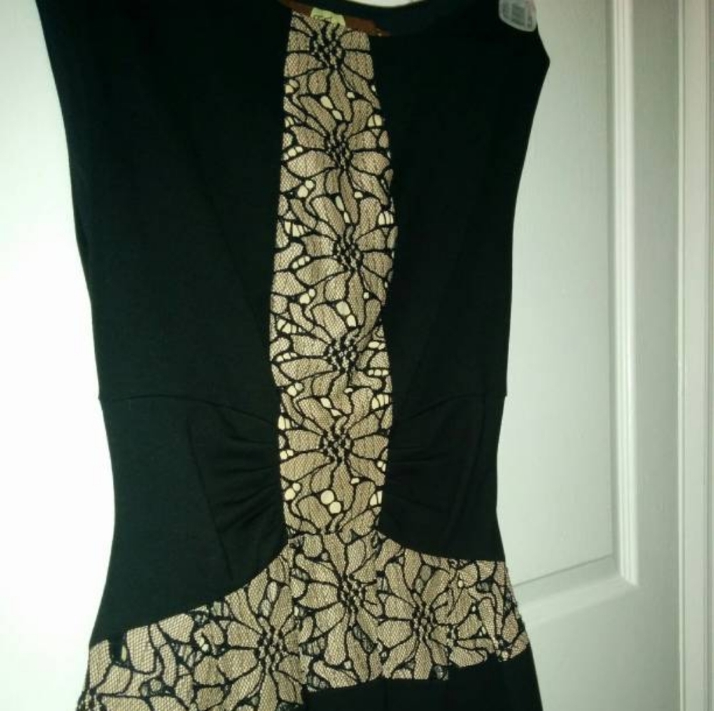 Eva Franco for Anthropologie Strata dress size 0